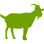 Caprino carne