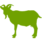 Caprino leche