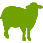 Ovino carne
